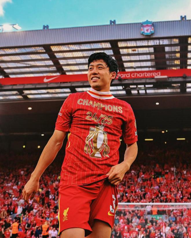 日本球員冠軍收獲：英德蘇葡及足總杯冠軍