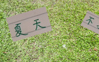 申花領(lǐng)先6分，國安續(xù)約烏，夏窗靜待。