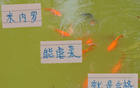 中超強(qiáng)隊(duì)，米內(nèi)羅申花C位，前鋒穩(wěn)虐，實(shí)力合格。