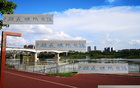 中超頭號難防前鋒，青島外援勝出，非海港萊納多，乃申花米內(nèi)羅。