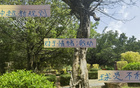 中超新規(guī)不利申花特謝拉，需調(diào)整隊(duì)長或增吳曦盯人。