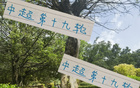 周末申花云南高原賽，阿蘇埃赤道南能否進(jìn)第四球？