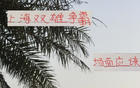 滬申花海港爭(zhēng)霸，雙雄對(duì)攻精彩，馬寧助陣。