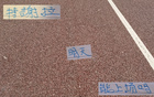 申花喜訊：朱辰杰現(xiàn)身訓練，特謝拉缺席德比。
