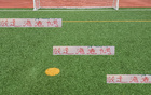 放走古斯塔沃后，海港更猛，主場對河南穩(wěn)否？