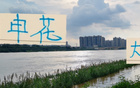 瓦西里離隊傷申花，攻勢減弱，防守不穩(wěn)。