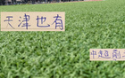 天津決戰(zhàn)，海港、成都、北京國安皆有失分風險！