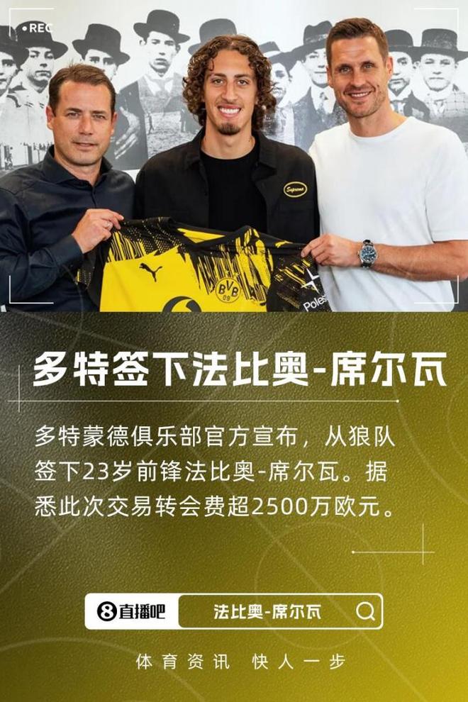 多特新援法比奧，2500萬歐加盟，球隊實力強，有望歐冠奪冠。