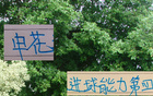 申花進(jìn)球力強(qiáng)，中超第四，外援未進(jìn)射手榜前十，內(nèi)援領(lǐng)銜。