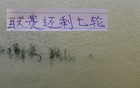 海港挑戰(zhàn)強敵，聯(lián)賽余七輪，對決北京國安及山東泰山。