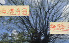 10年，海港奪冠中超！前四隊(duì)獨(dú)領(lǐng)風(fēng)騷。