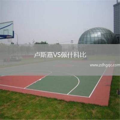 盧斯嘉VS佩什科比