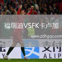 福瑞迪VSFK卡盧加