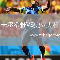卡爾希雅VS史立夫科