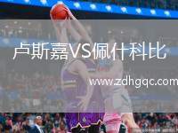 盧斯嘉VS佩什科比