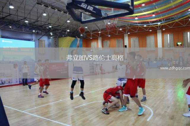 弗立加VS路倫士高格