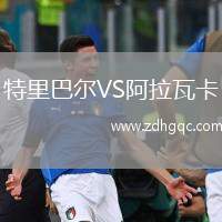 特里巴爾VS阿拉瓦卡