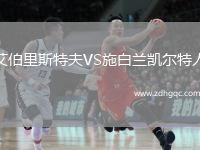艾伯里斯特夫VS施白蘭凱爾特人