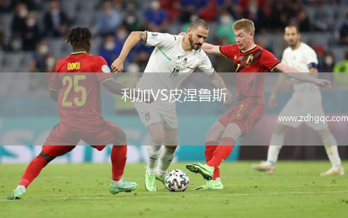 利加VS皮涅魯斯