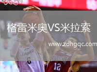 格雷米奧VS米拉索