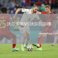 沃爾多夫VS沃爾瓦爾德