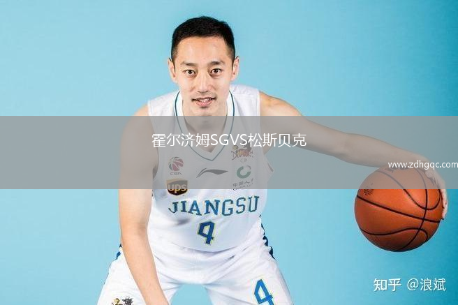 霍爾濟(jì)姆SGVS松斯貝克