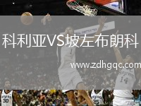 科利亞VS坡左布朗科