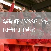 華登舒特VSSG芬納圖普巴門諾爾