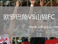 歐羅巴角VS山貓F(tuán)C
