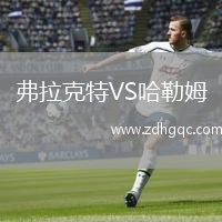 弗拉克特VS哈勒姆