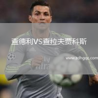 查德利VS查拉夫賈科斯