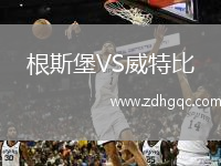 根斯堡VS威特比