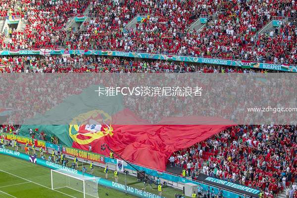 卡雅FCVS淡濱尼流浪者