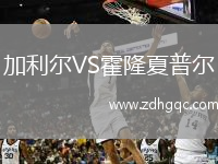 加利爾VS霍隆夏普爾