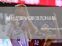 赫拉尼斯VS斯洛瓦科B隊