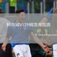 科克城VS沙姆洛克流浪