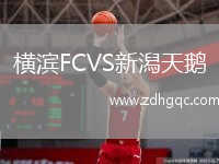 橫濱FCVS新潟天鵝