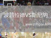 波普拉德VS斯尼納
