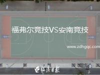 福弗爾競(jìng)技VS安南競(jìng)技