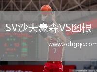 SV沙夫豪森VS圖根