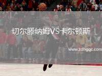 切爾滕納姆VS卡爾頓斯