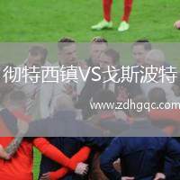 徹特西鎮(zhèn)VS戈斯波特