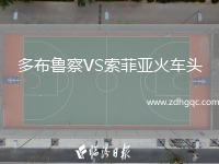 多布魯察VS索菲亞火車頭