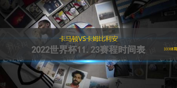 費(fèi)羅維亞VSAS家族