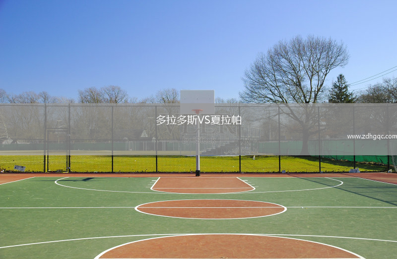 多拉多斯VS夏拉帕