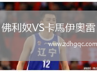 佛利奴VS卡馬伊奧雷