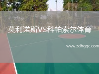 莫利諾斯VS科帕索爾體育