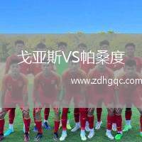 戈亞斯VS帕桑度