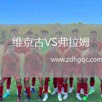 維京古VS弗拉姆