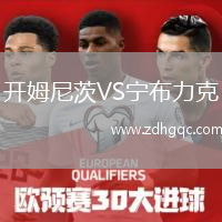 開姆尼茨VS寧布力克